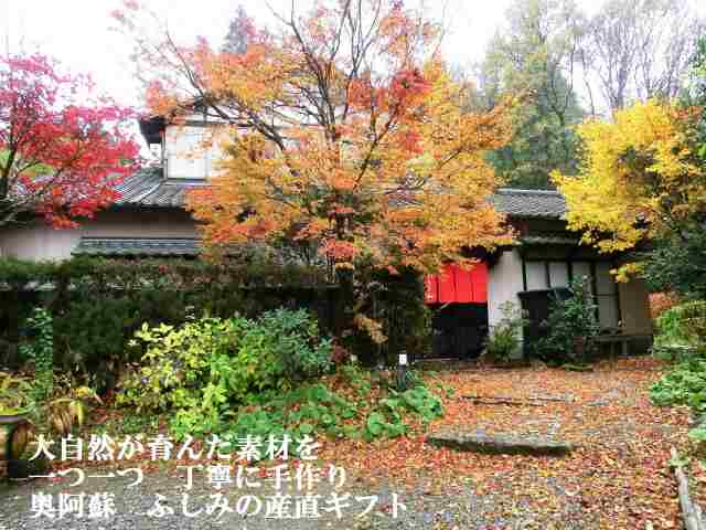 産直ギフトセット